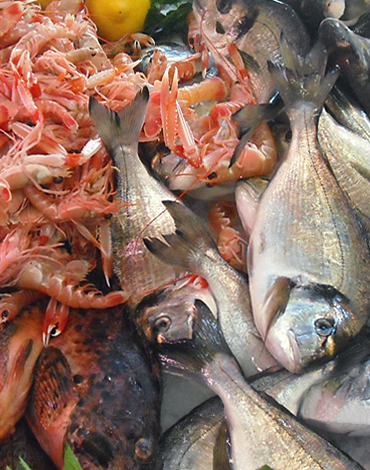 vendita pesce fresco asolo treviso
